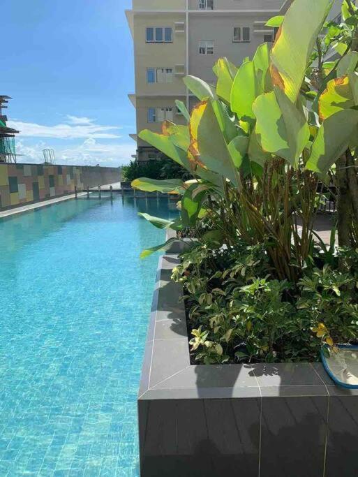 1Br With Extra Room At One Regis- Megaworld บาโคลอด ภายนอก รูปภาพ